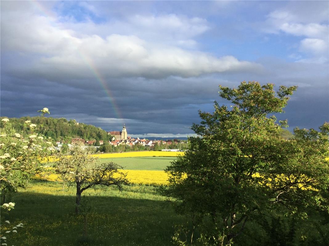 Von Affstätt aus hat Renate Urbitsch diesen Regenbogen über der Herrenberger Sti...