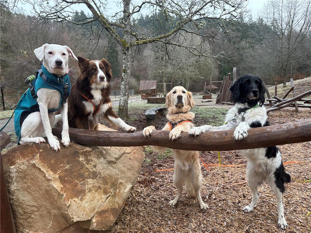 Von Petra Sailer.  Warten aufs Christkind.
