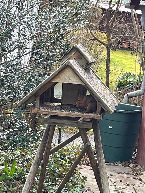 Von Ute Karle aus Gärtringen.
