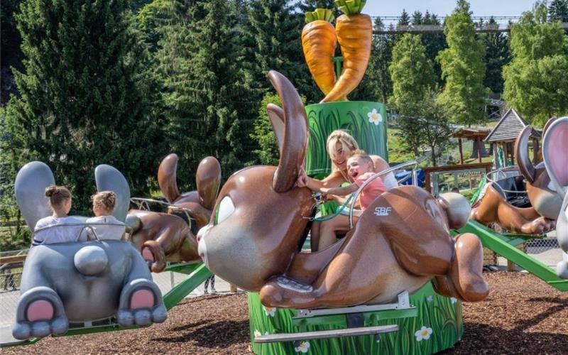 „Gäubote“-Familien-Tour: Erlebnisseilbrücke als Welt-Attraktion Vor allem Kinder haben Spaß im Steinwasen-Park in Oberried.GB-Foto: Steinwasenpark