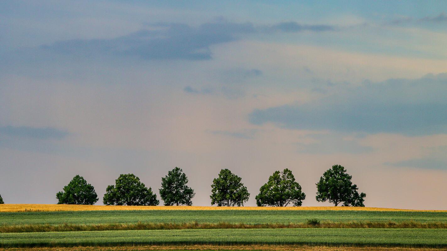 Vor dem Gewitter.  Von Natalie Politz aus Hildrizhausen.