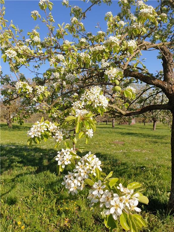 Vorname* : Ulrike Nachname* : Hätinger PLZ / Ort* : Herrenberg Aufnahmeort* : Ka...