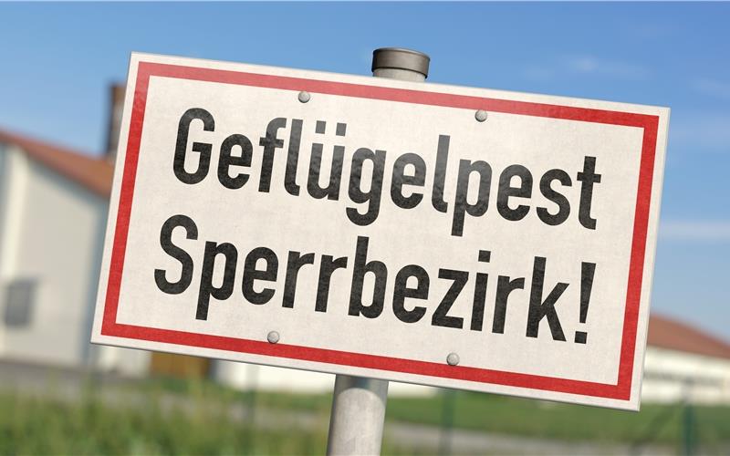 Vorsicht Geflügelpest: Im Kreis Tübingen werden jetzt Schutzmaßnahmen ergriffenGB-Foto (Symbolbild/Archiv): adobe-stock