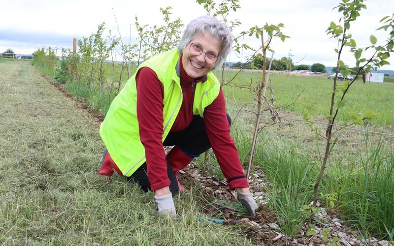 Vorsitzende Karin Kelber packt beim Unkrautjäten an der Hecke aus heimischen Sträuchern an. GB-Foto: Priotto