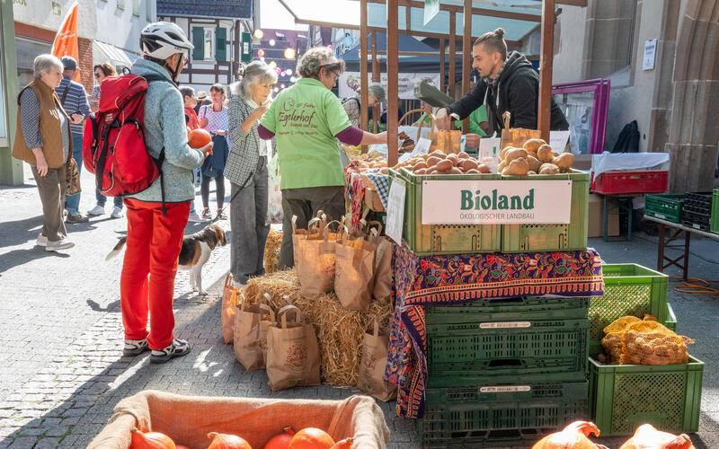 Was die heimische Scholle hergibt: Das Erntefest bot den Besuchern eine große Auswahl. GB-Fotos: Vecsey