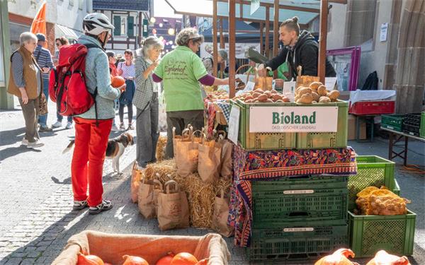Was die heimische Scholle hergibt: Das Erntefest bot den Besuchern eine große Auswahl. GB-Fotos: Vecsey