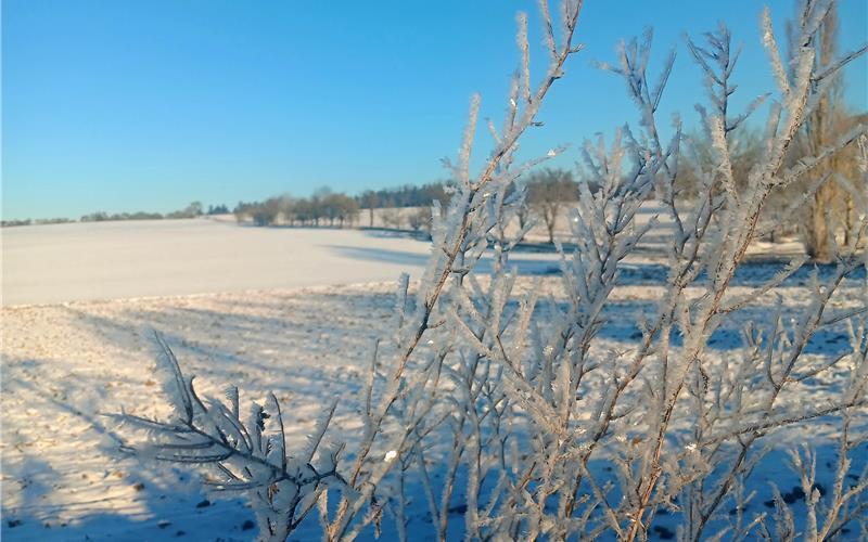 Was für ein Anblick: Zwischen Sindlingen und Haslach war vor wenigen Tagen noch alles weiß und gefroren. GB-Foto: gb