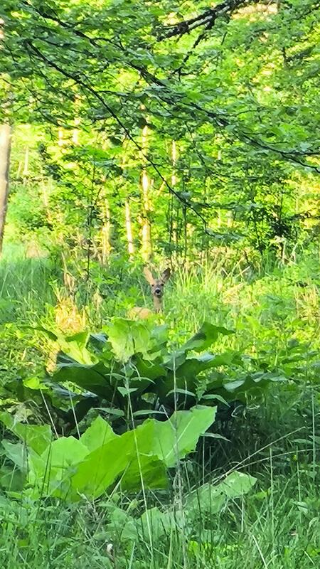 Was guckst du?  Von Ruth Fahrbach aus Herrenberg.