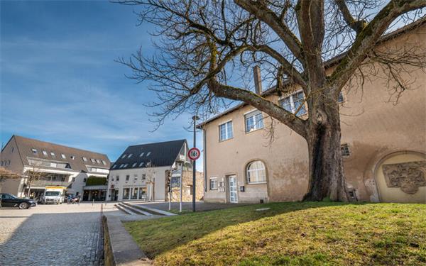 Was in Mötzingen geboten ist, soll künftig in einer Gemeinde-App digital für Bürger als Info bereitstehen. GB-Foto (Archiv): Vecsey