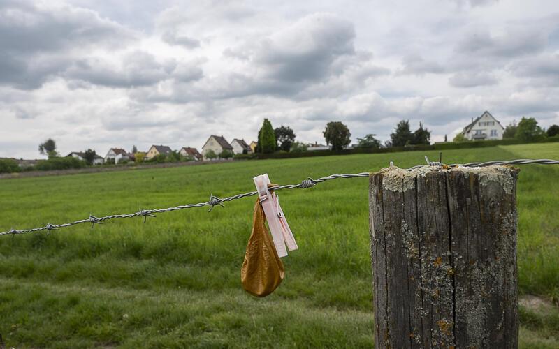 Was wird aus dem Süden Herrenbergs: Siedlungsquartier? Oder bleibt er Wiesenfläche?GB-Foto: Schmidt