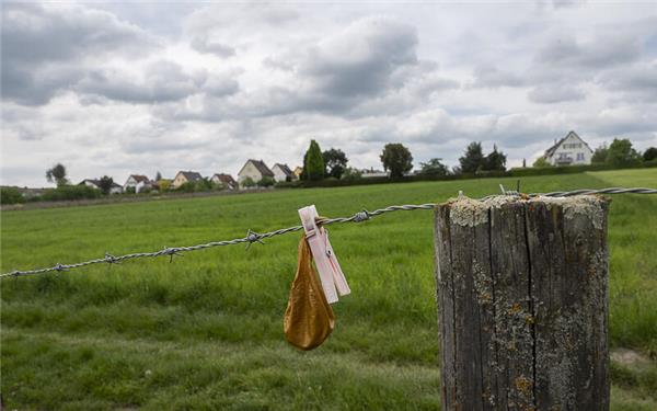 Was wird aus dem Süden Herrenbergs: Siedlungsquartier? Oder bleibt er Wiesenfläche?GB-Foto: Schmidt