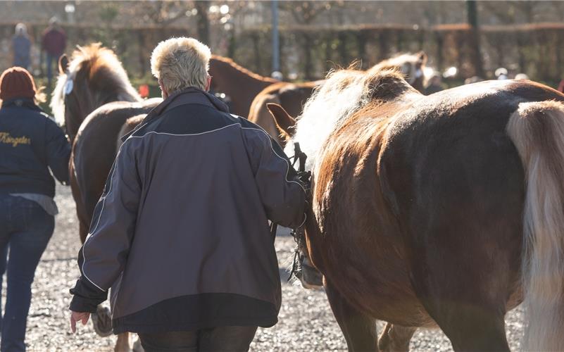 Fastnachtsdienstag in Herrenberg: Bilder zum Pferdemarkt und Fasnetsmarkt