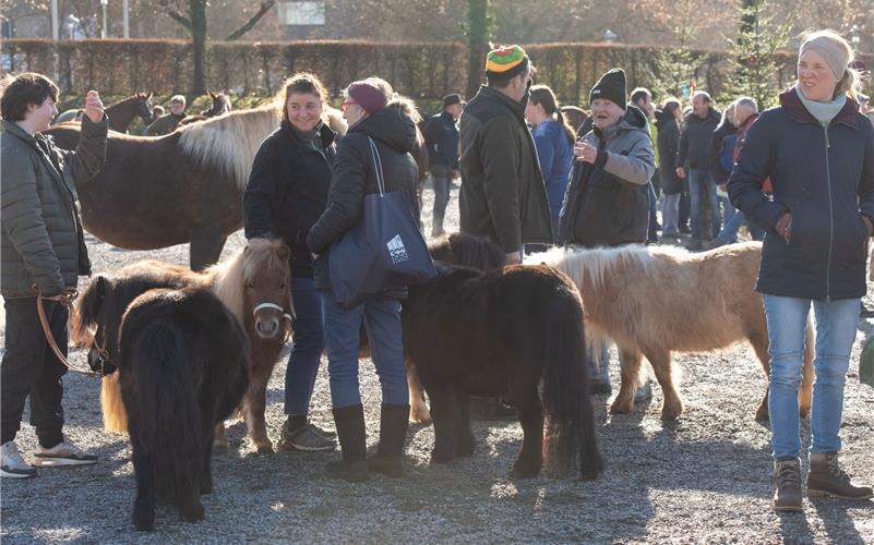 Fastnachtsdienstag in Herrenberg: Bilder zum Pferdemarkt und Fasnetsmarkt