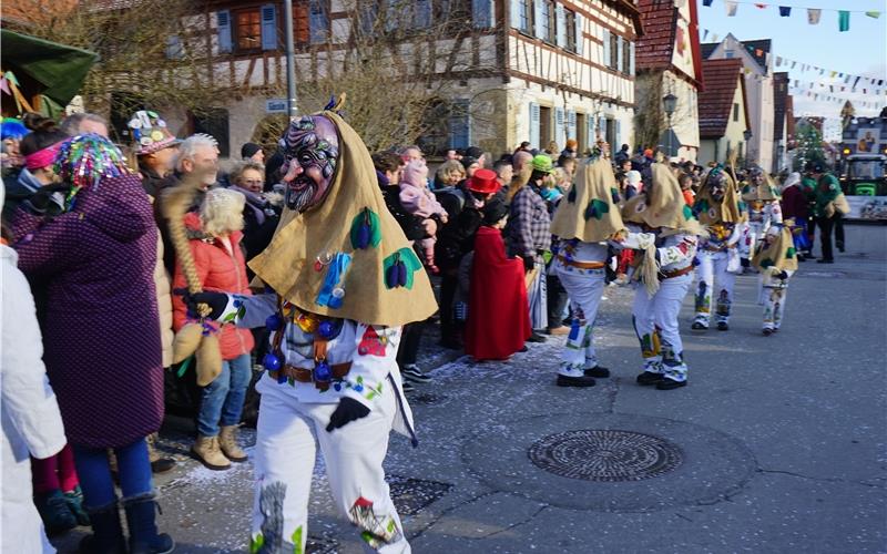 Fasnets-Umzug Pfäffingen
