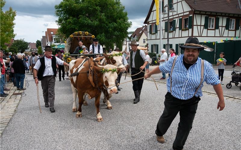 Bilder vom Festwochenende in Deckenpfronn