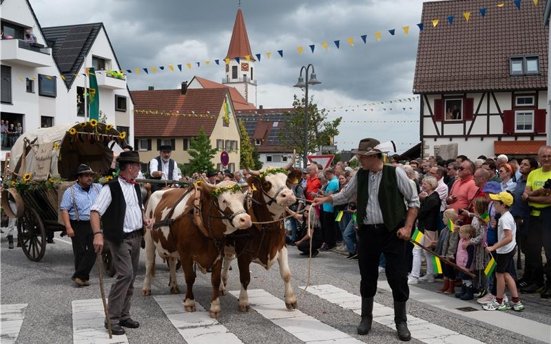 Bilder vom Festwochenende in Deckenpfronn