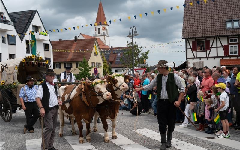 Bilder vom Festwochenende in Deckenpfronn