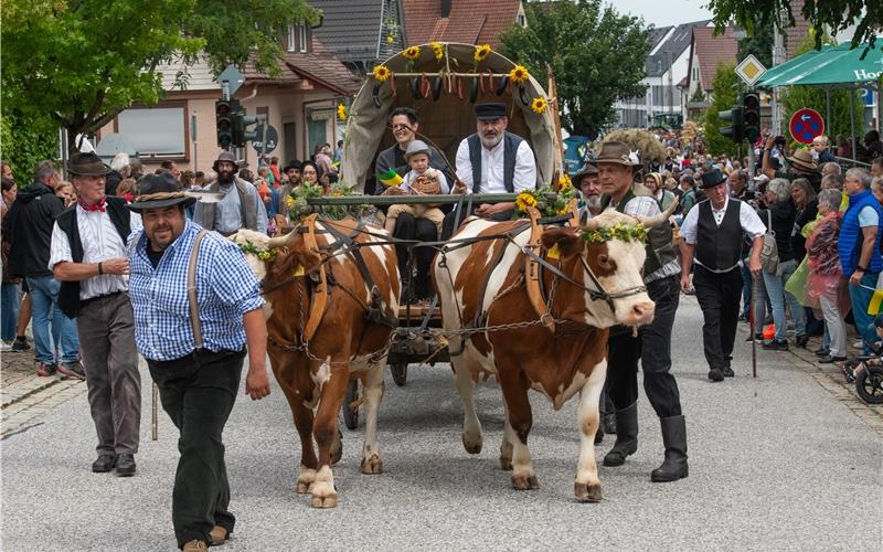 Bilder vom Festwochenende in Deckenpfronn