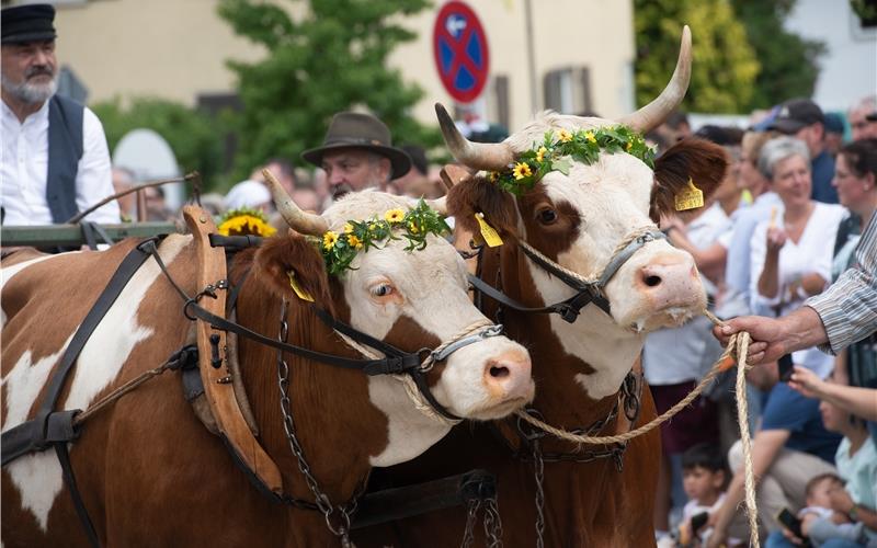 Bilder vom Festwochenende in Deckenpfronn
