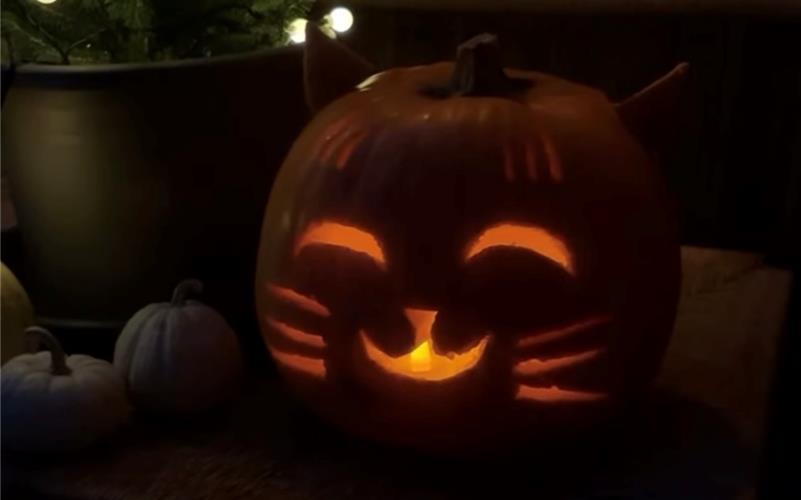 Kürbisfotos: Das Gäu schnitzt zu Halloween
