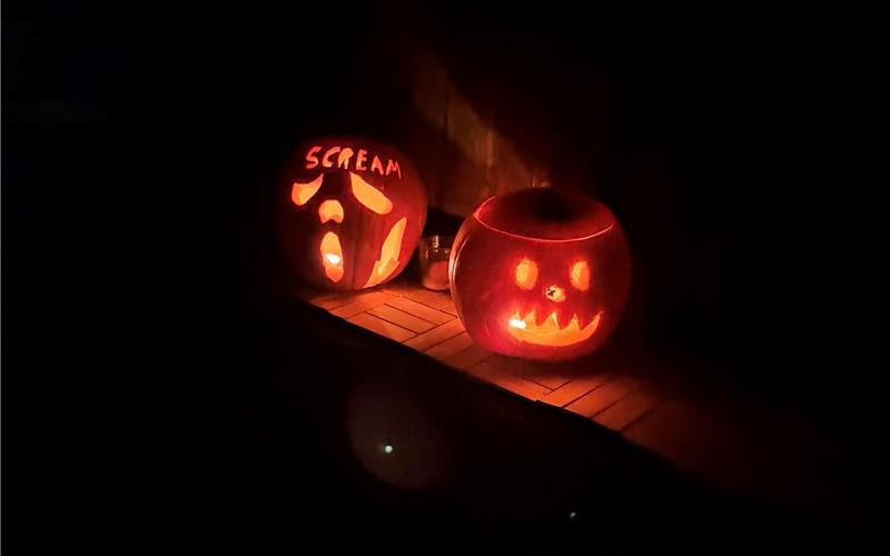 Kürbisfotos: Das Gäu schnitzt zu Halloween