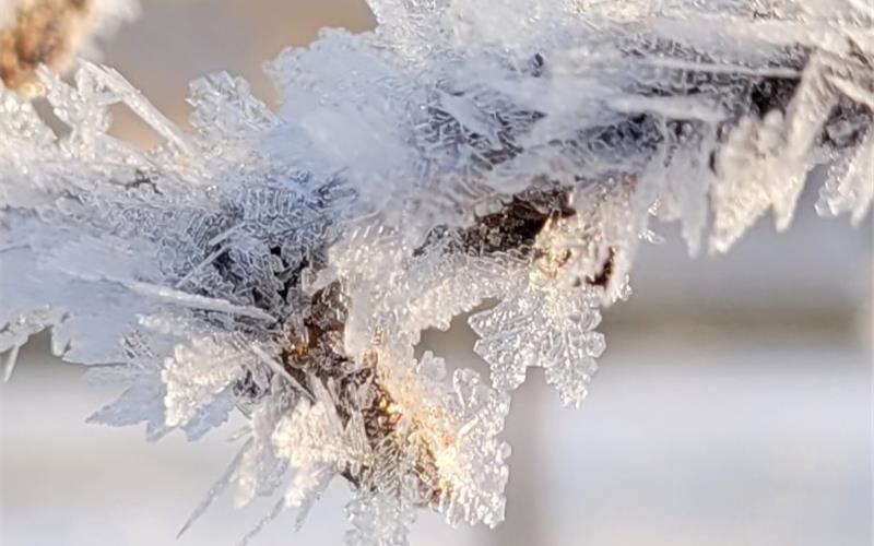 Fotos der „Gäubote“-Leser: So schön ist der Winter 2026