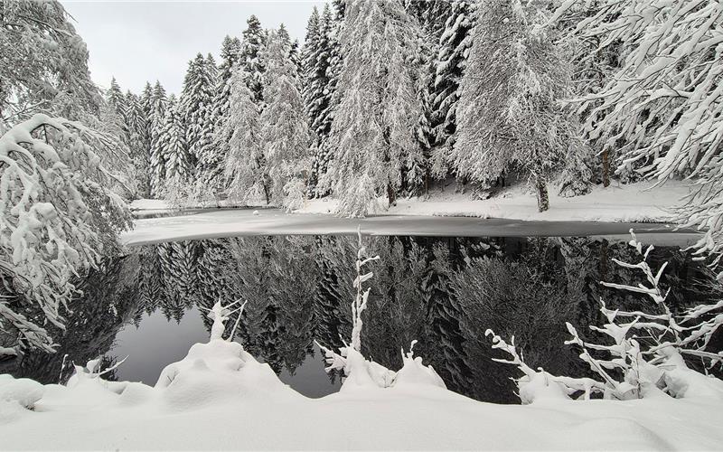 Fotos der „Gäubote“-Leser: So schön ist der Winter 2026