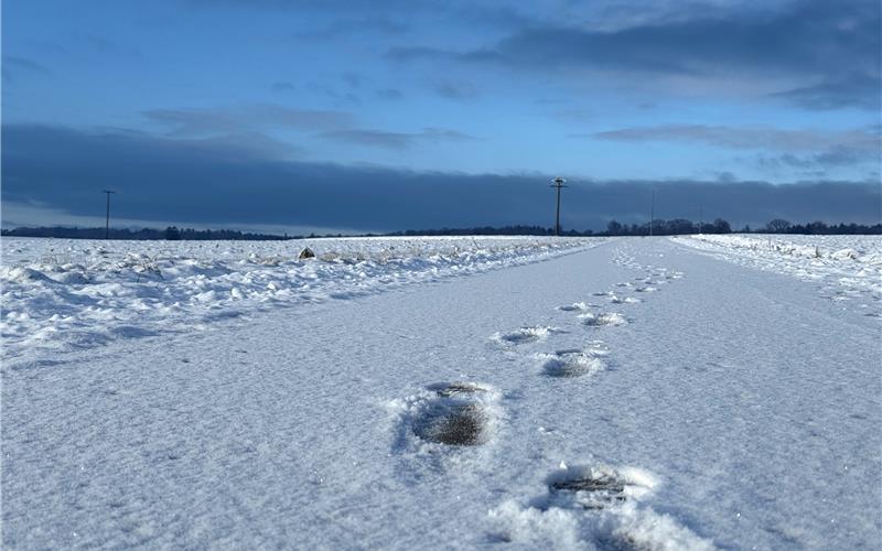 Fotos der „Gäubote“-Leser: So schön ist der Winter 2026