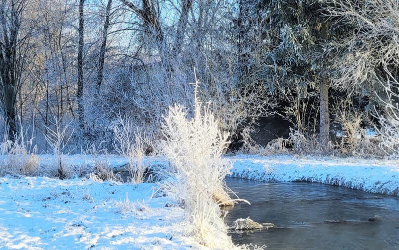 Fotos der „Gäubote“-Leser: So schön ist der Winter 2026