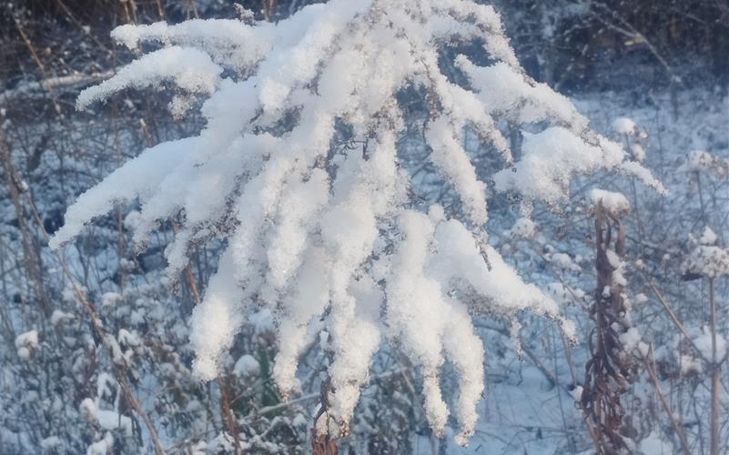 Fotos der „Gäubote“-Leser: So schön ist der Winter 2026