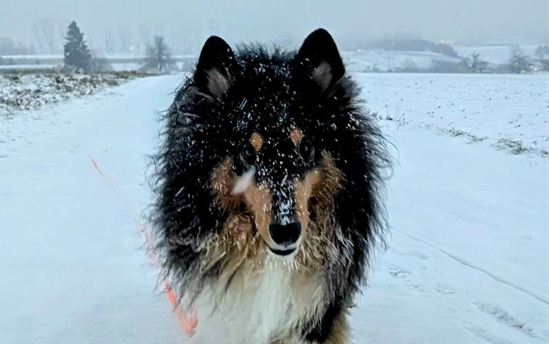 Fotos der „Gäubote“-Leser: So schön ist der Winter 2026