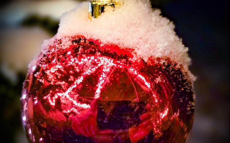 Fotos der „Gäubote“-Leser: So schön ist der Winter 2026