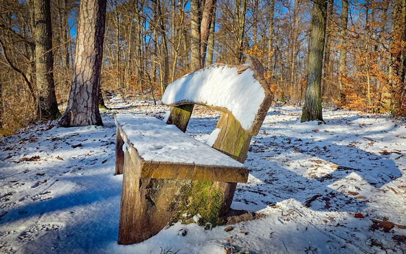 Fotos der „Gäubote“-Leser: So schön ist der Winter 2026