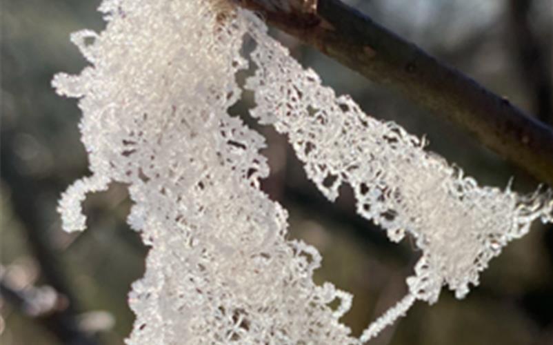 Fotos der „Gäubote“-Leser: So schön ist der Winter 2026