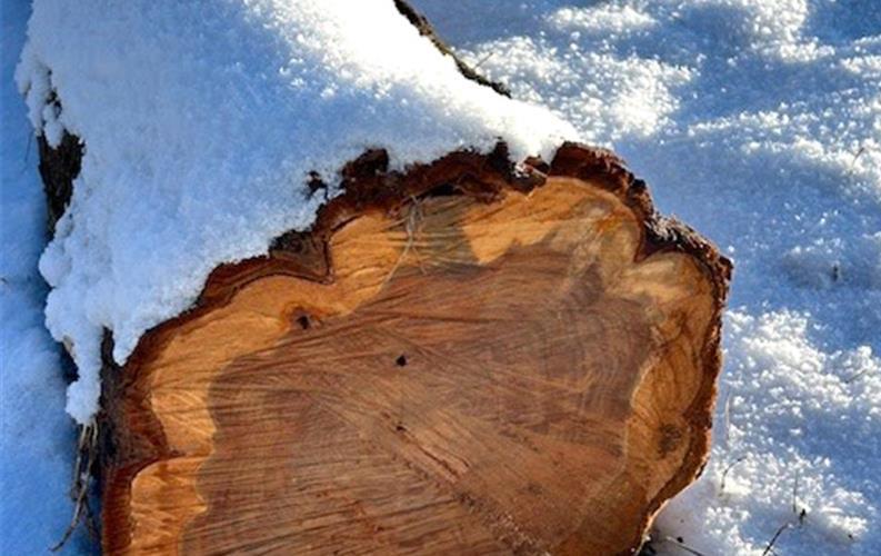 Fotos der „Gäubote“-Leser: So schön ist der Winter 2026