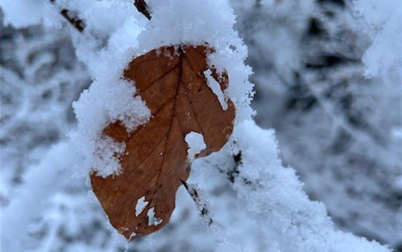 Fotos der „Gäubote“-Leser: So schön ist der Winter 2026