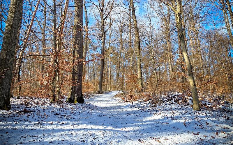 Fotos der „Gäubote“-Leser: So schön ist der Winter 2026