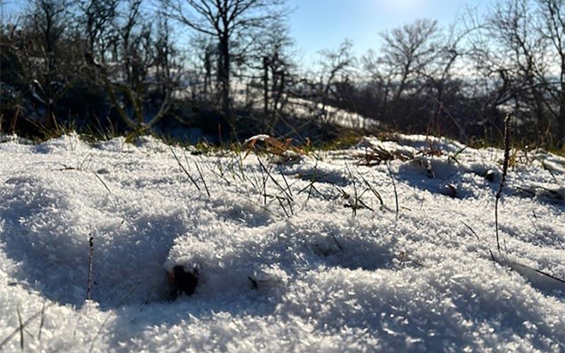 Fotos der „Gäubote“-Leser: So schön ist der Winter 2026