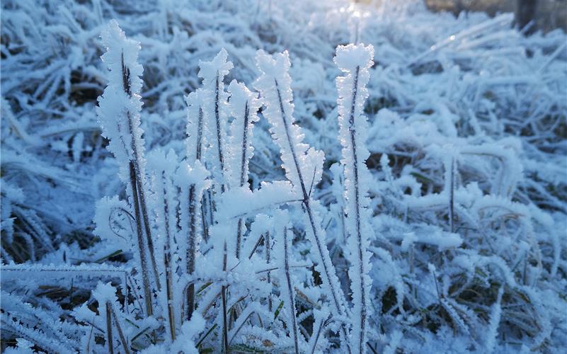 Fotos der „Gäubote“-Leser: So schön ist der Winter 2026