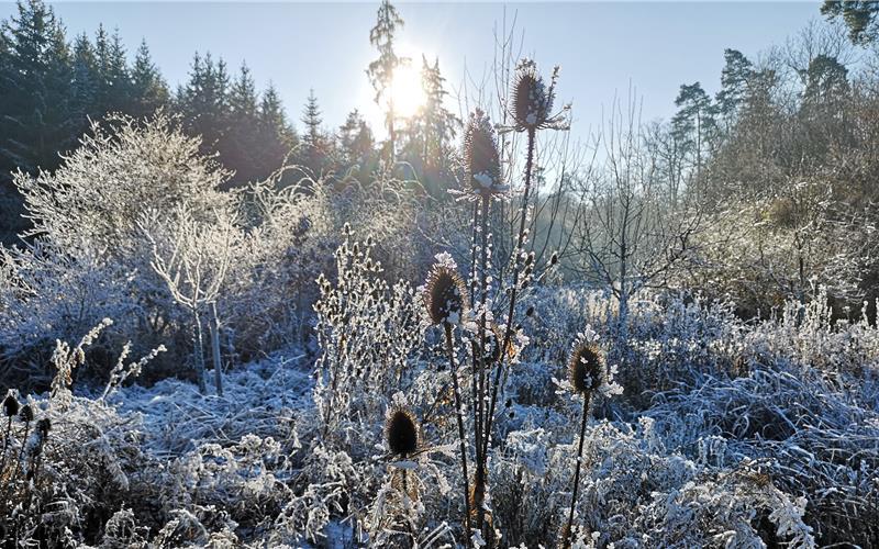Fotos der „Gäubote“-Leser: So schön ist der Winter 2026