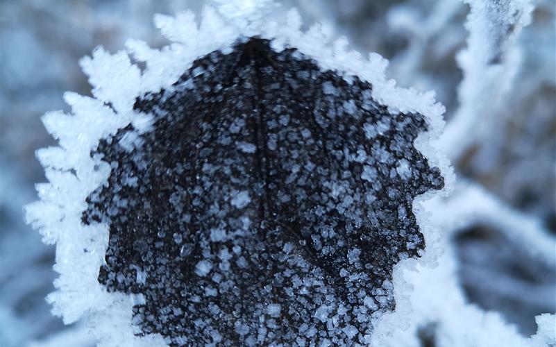 Fotos der „Gäubote“-Leser: So schön ist der Winter 2026