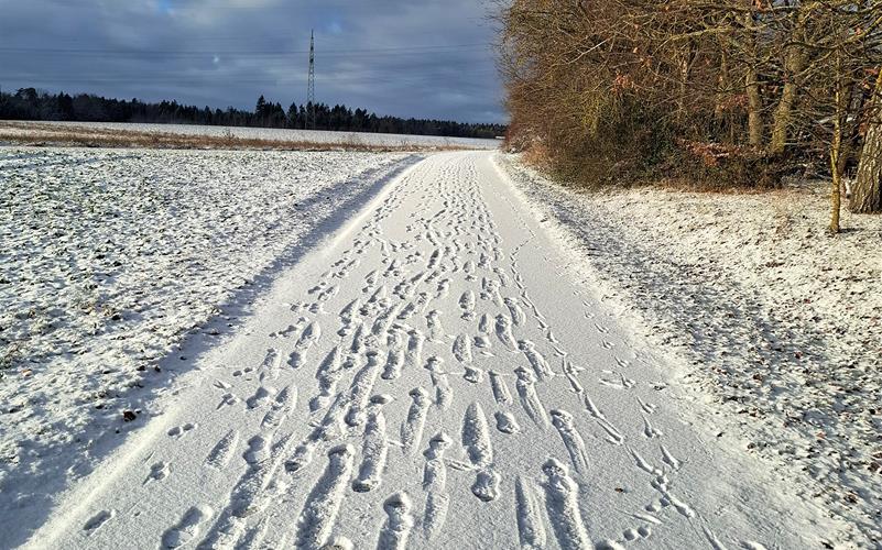 Fotos der „Gäubote“-Leser: So schön ist der Winter 2026