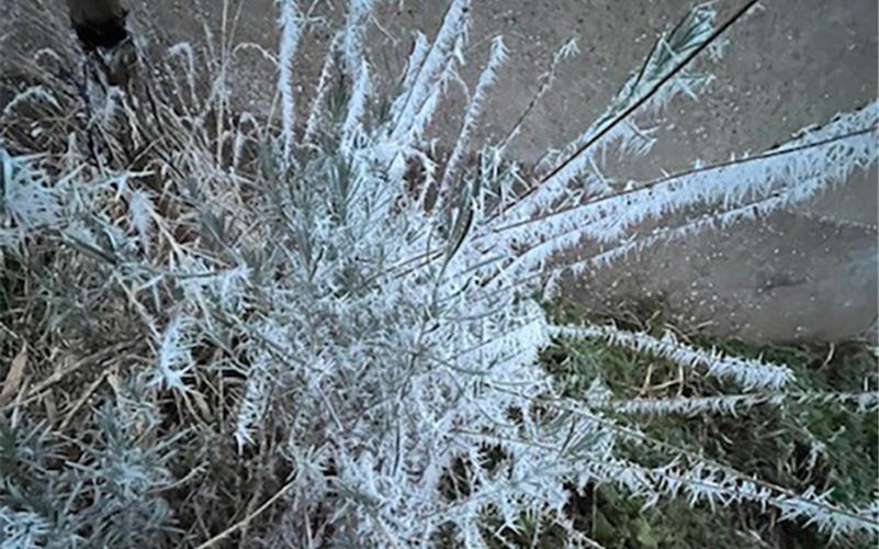 Fotos der „Gäubote“-Leser: So schön ist der Winter 2026