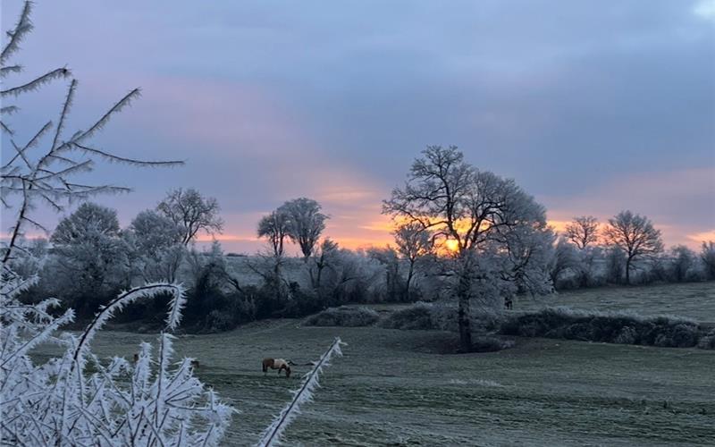 Fotos der „Gäubote“-Leser: So schön ist der Winter 2026