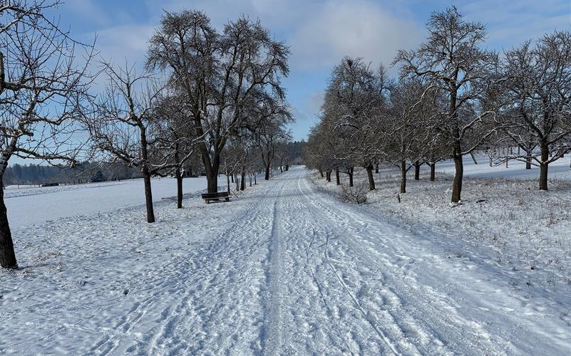 Fotos der „Gäubote“-Leser: So schön ist der Winter 2026