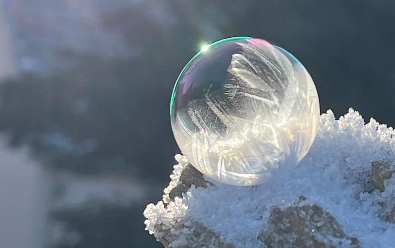 Fotos der „Gäubote“-Leser: So schön ist der Winter 2026