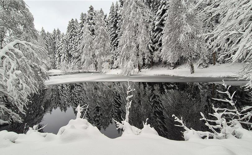 Fotos der „Gäubote“-Leser: So schön ist der Winter 2026