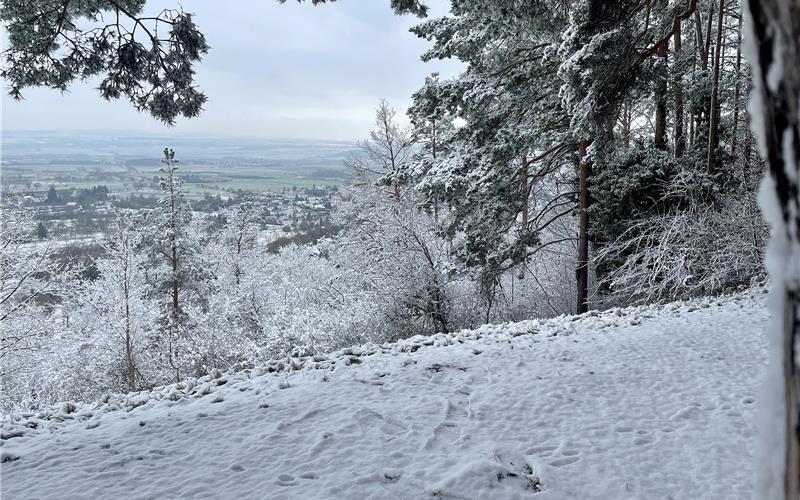 Fotos der „Gäubote“-Leser: So schön ist der Winter 2026