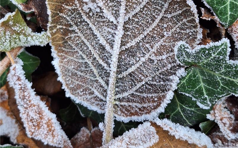 Fotos der „Gäubote“-Leser: So schön ist der Winter 2026