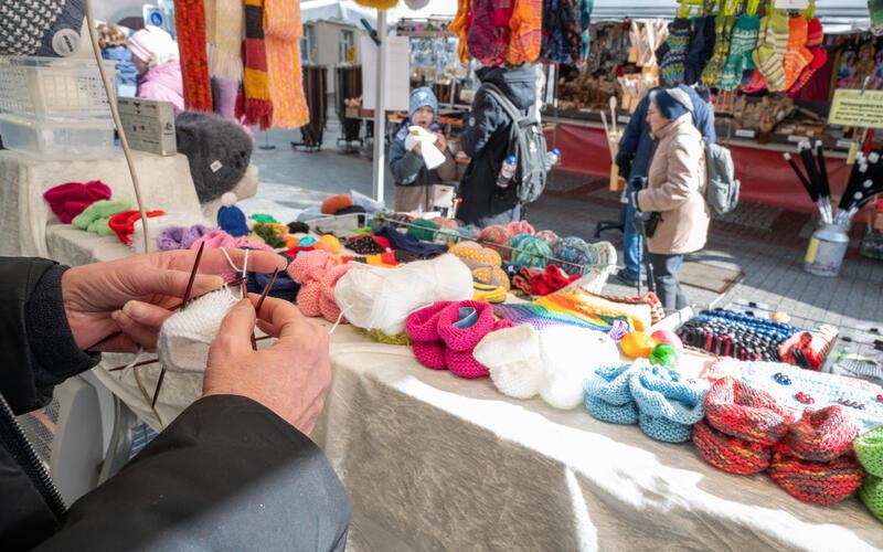 Bilder vom Pferdemarkt und Fasnetstreiben in Herrenberg